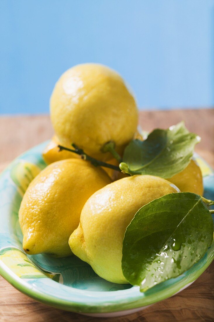 Mehrere Zitronen mit Blättern auf Teller