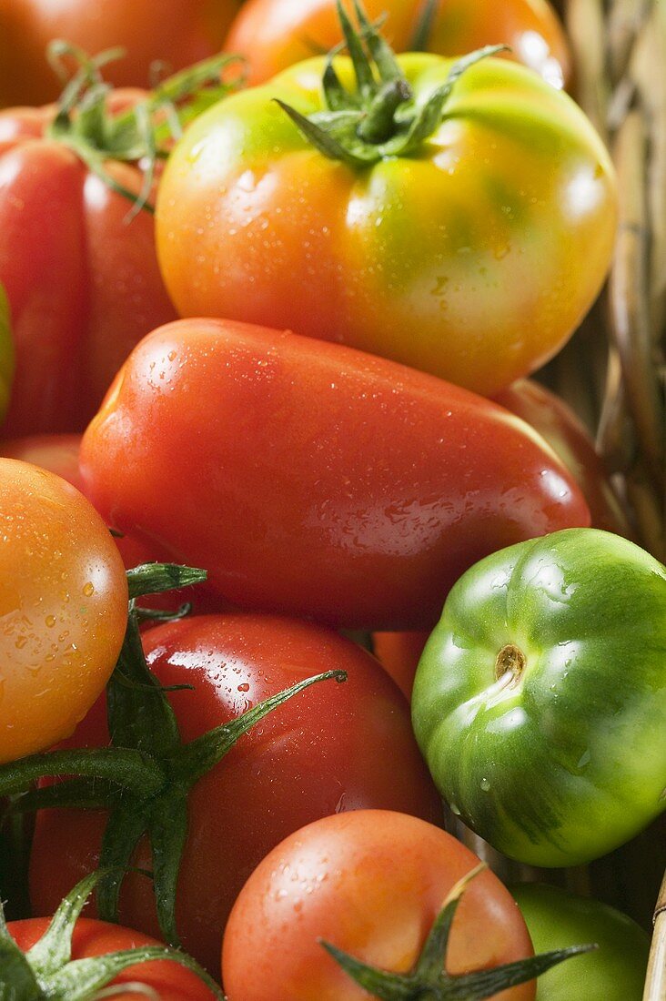 Assorted tomatoes (detail)