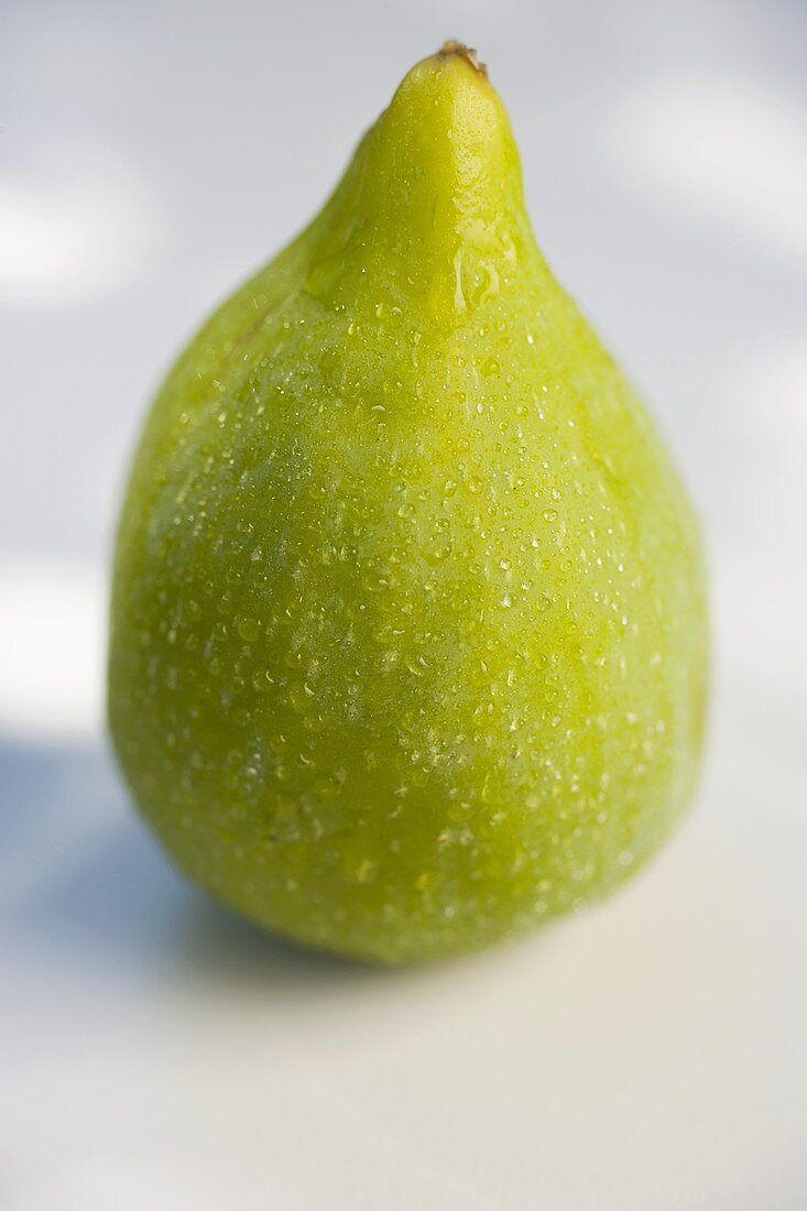 Fresh green fig
