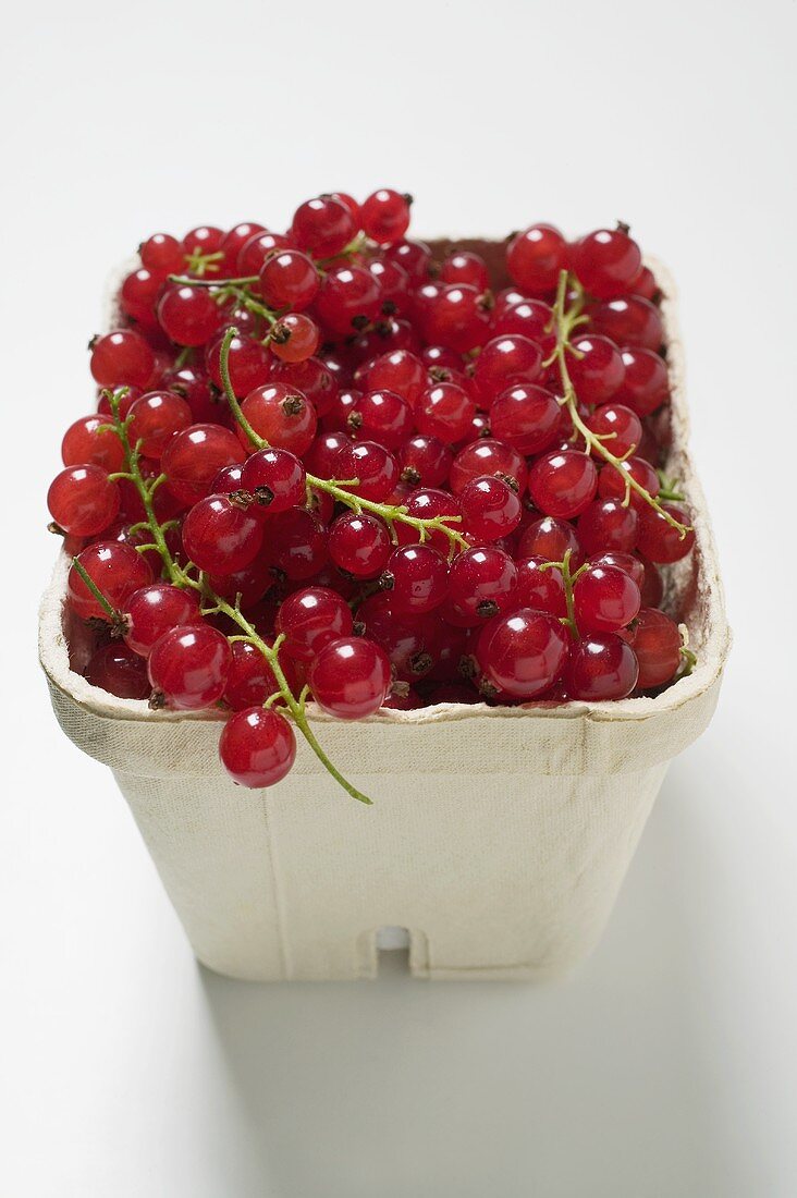 Redcurrants in cardboard punnet