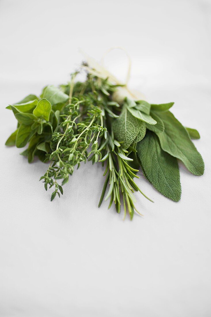 Bunch of herbs: rosemary, sage, thyme and oregano