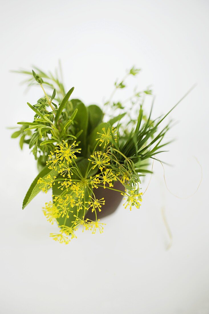 Bunch of herbs with dill flowers in brown beaker