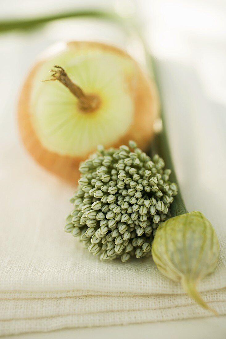 Onion and garlic chives