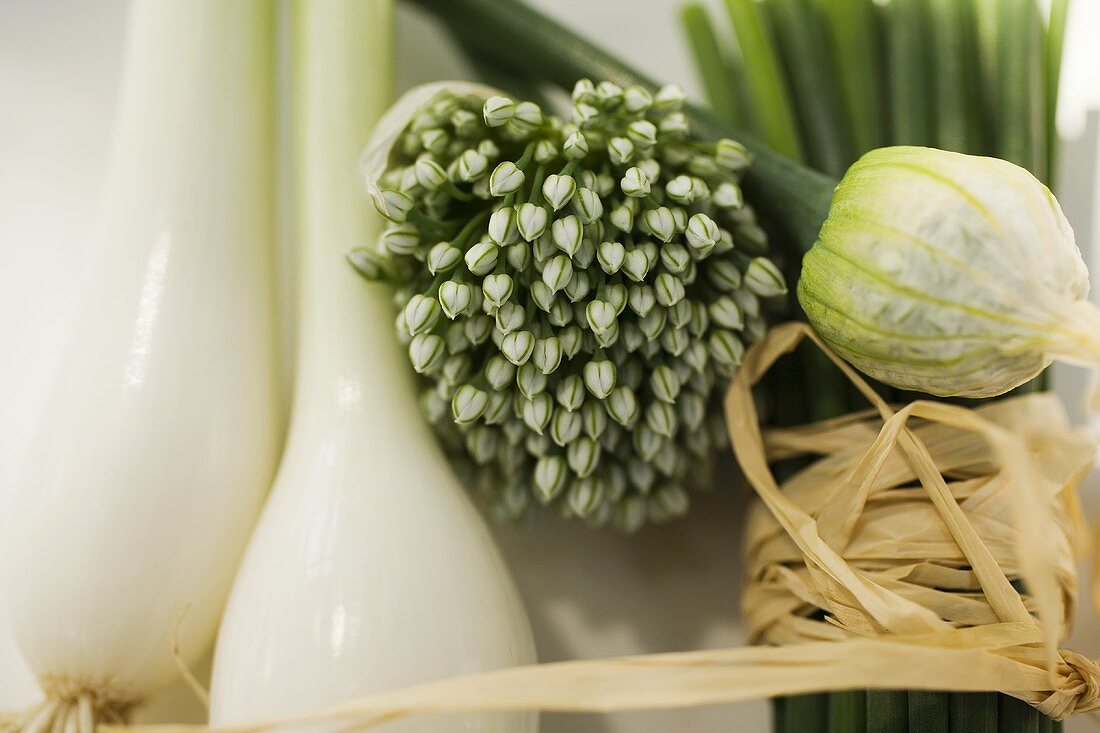 Spring onions, garlic chives and chives