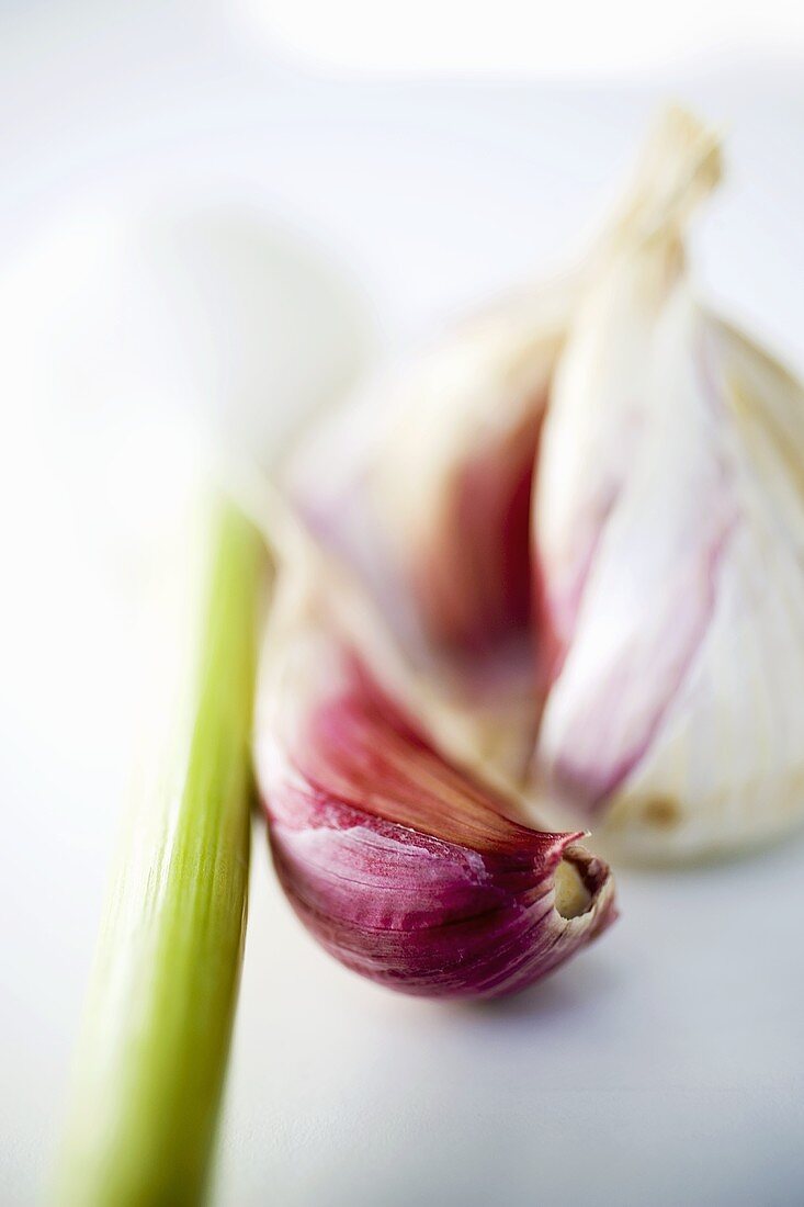 Garlic bulb, garlic clove and spring onion