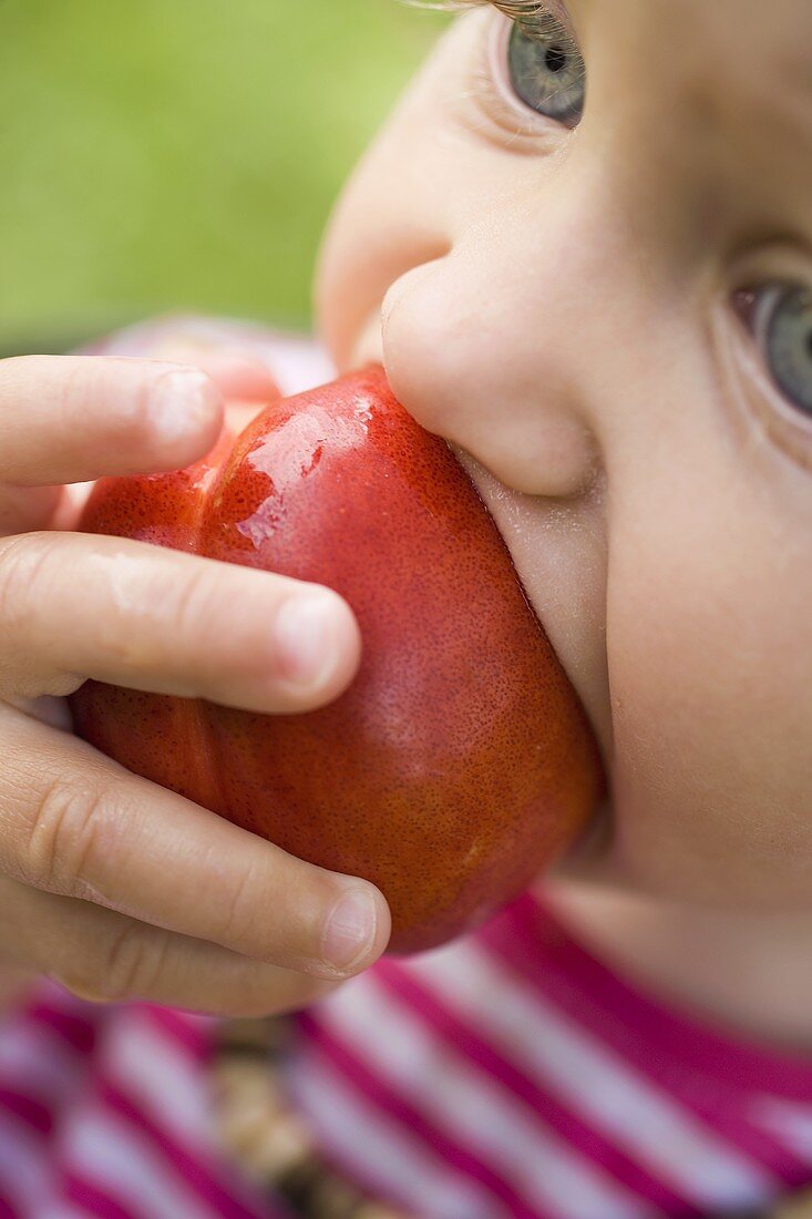 Child biting into juicy nectarine