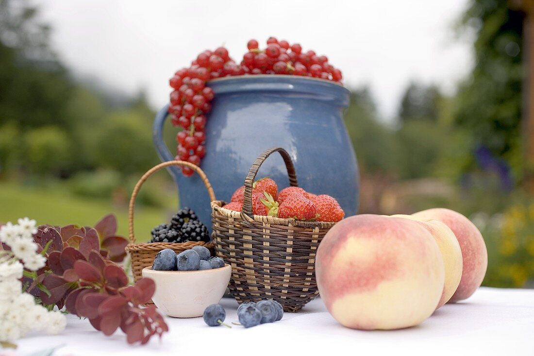 Sommerliches Obststillleben auf Tisch im Garten