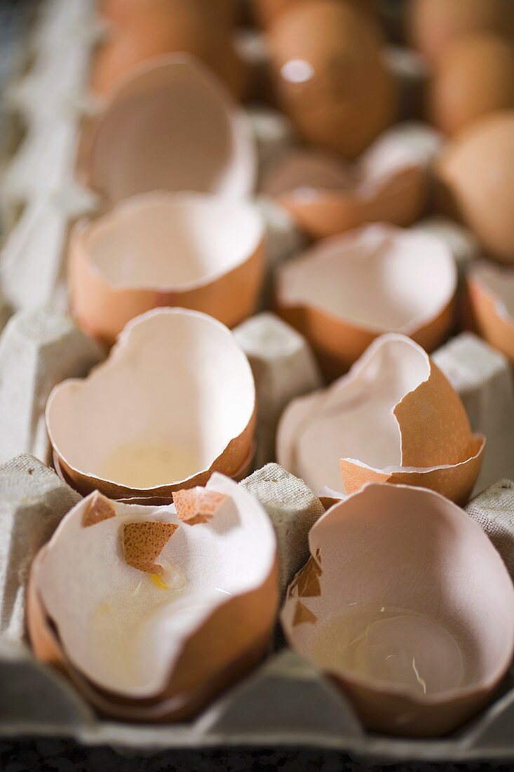 Eggshells in egg box