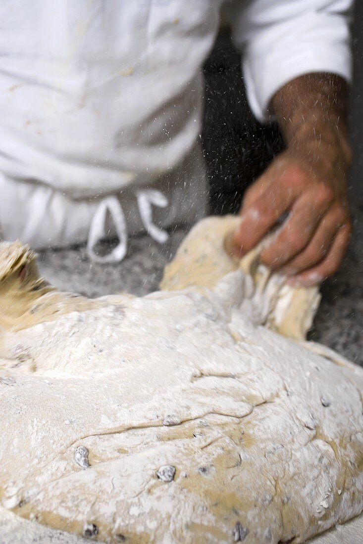 Making olive bread (kneading the dough)