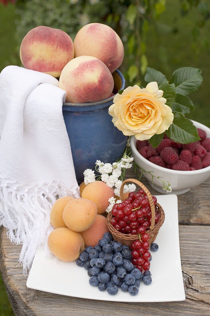 Pfirsiche, Aprikosen und Beeren auf Tisch im Garten