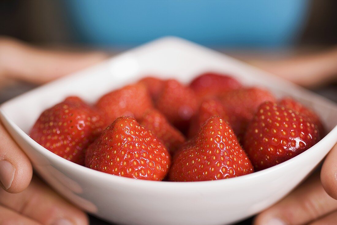 Hände halten Schale mit Erdbeeren