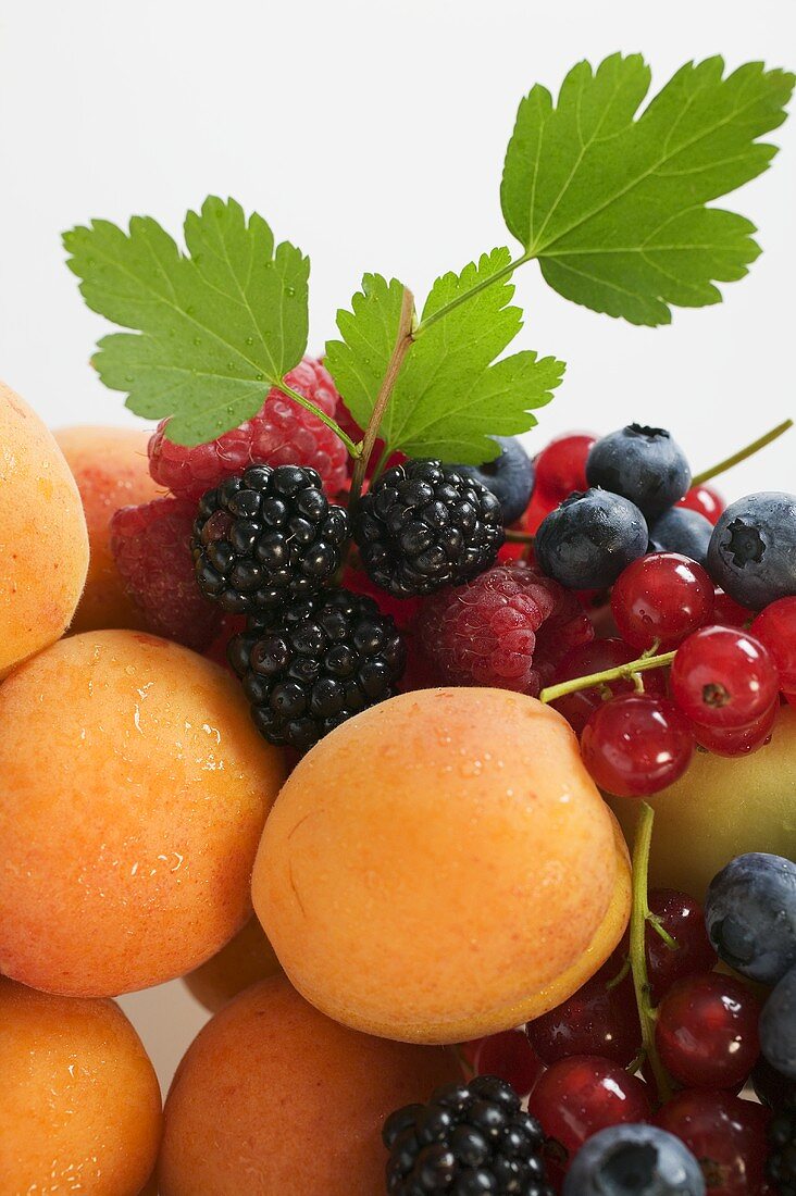 Obststillleben mit Aprikosen, Beeren und Blättern