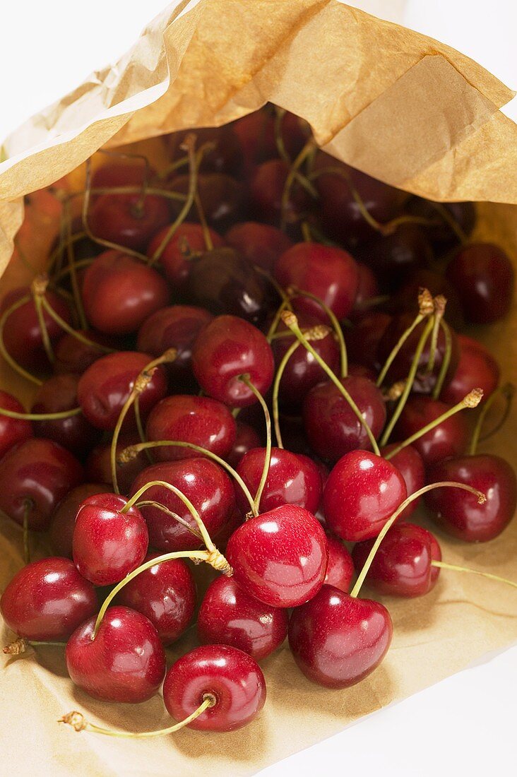 Fresh cherries in paper bag