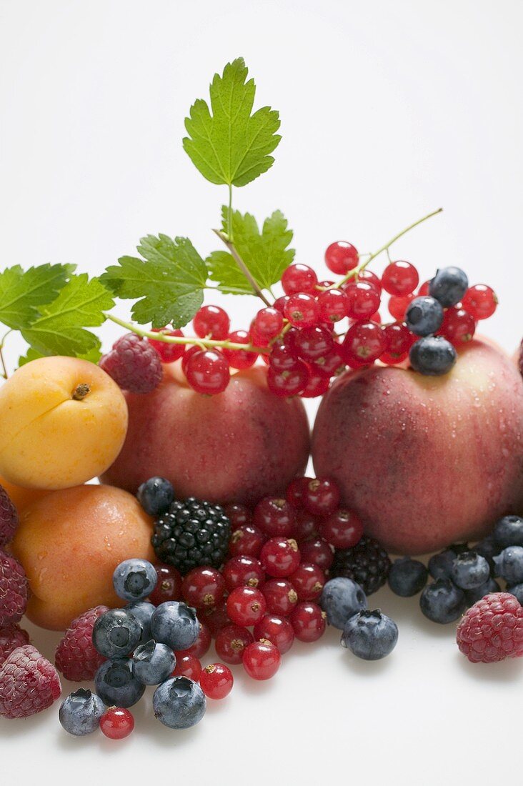 Obststillleben mit Steinobst, Beeren und Blättern (Ausschnitt)