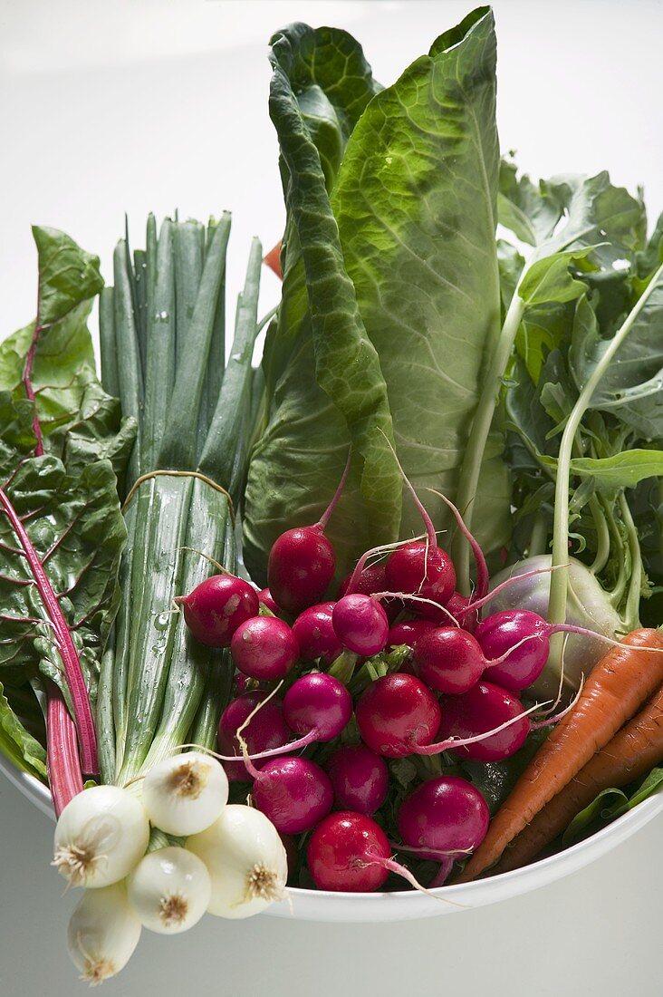 Spring onions, radishes, cabbage and carrots in bowl