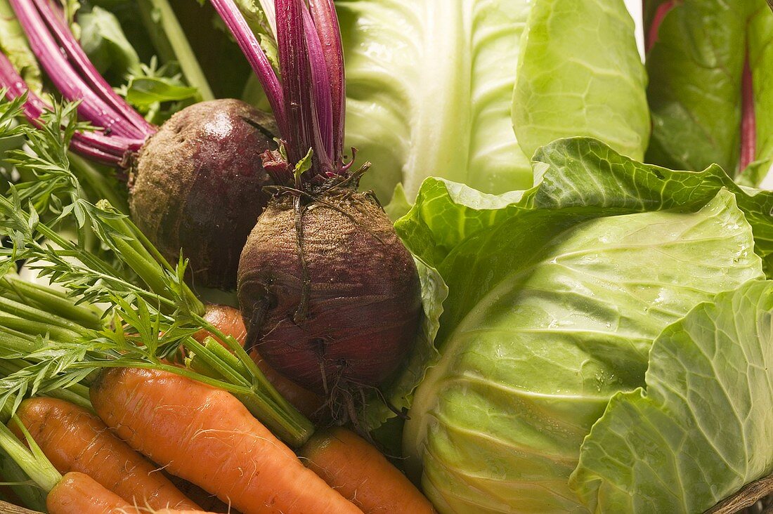 Fresh carrots, beetroot and green cabbage (detail)