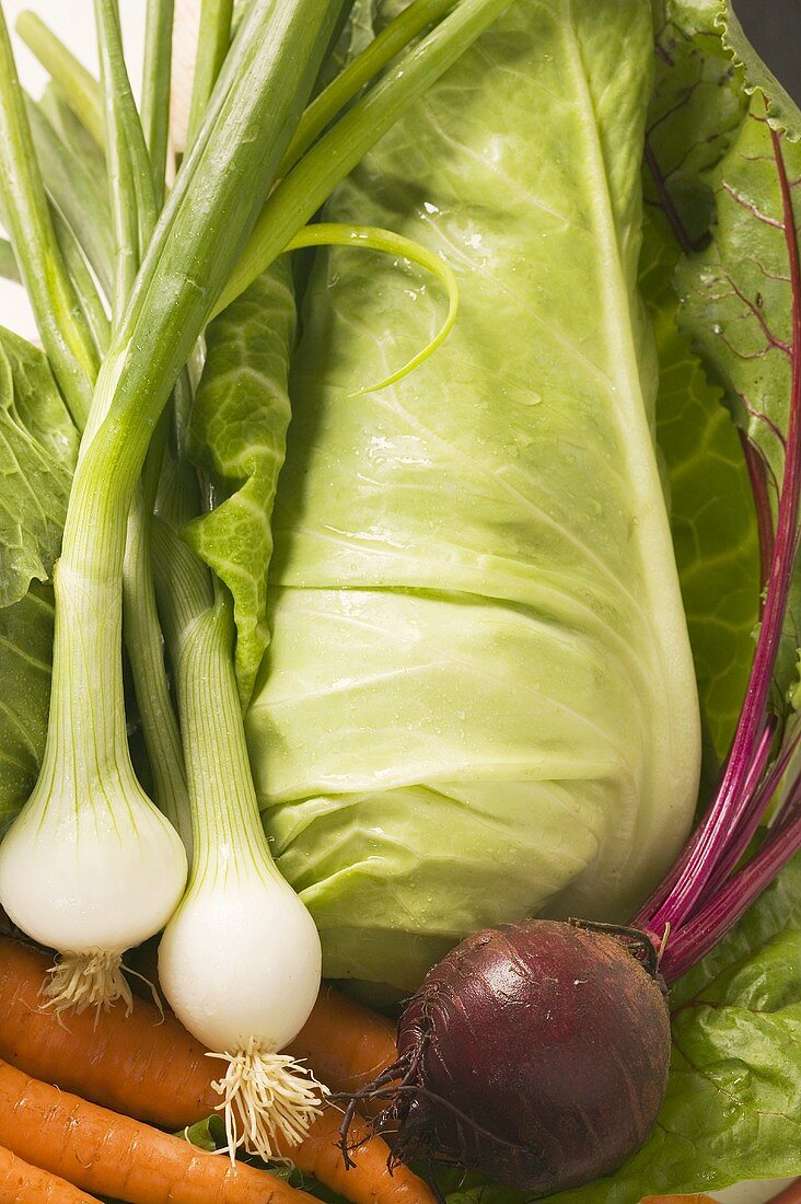 Carrots, spring onions, beetroot and cabbage (detail)