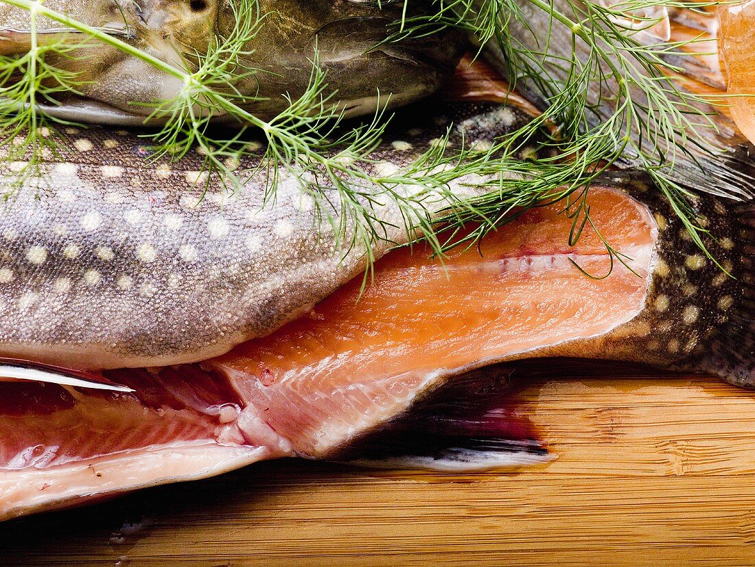 Tail of brook charr with dill