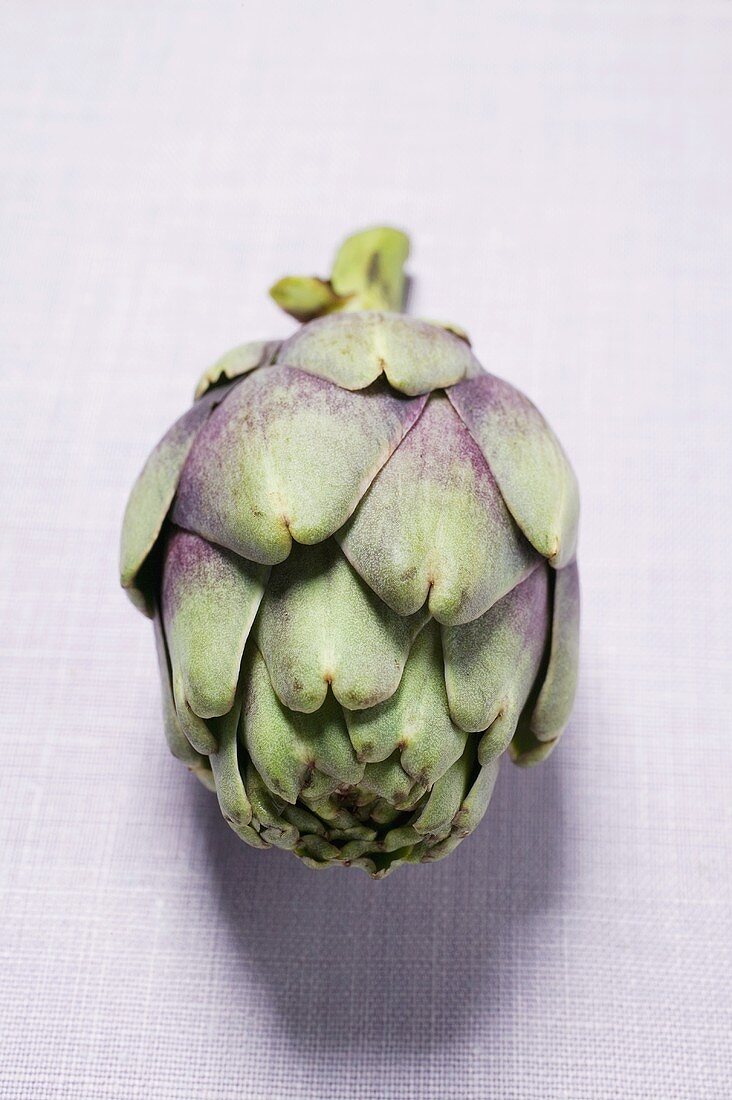 An artichoke from the front