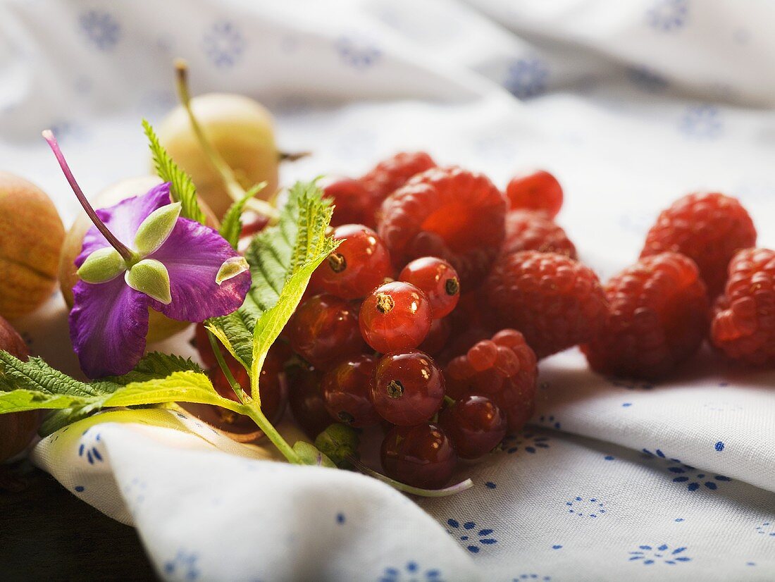 Still life with berries, leaf and flower