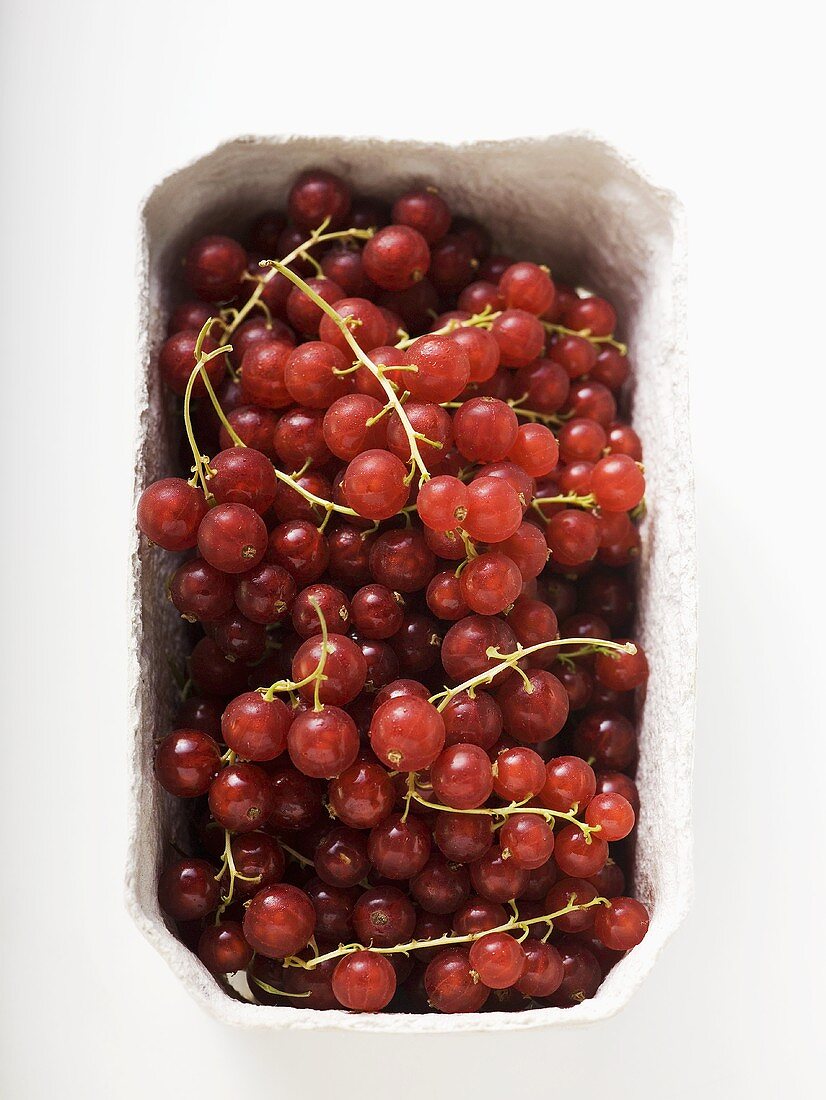 Redcurrants in cardboard punnet (overhead view)