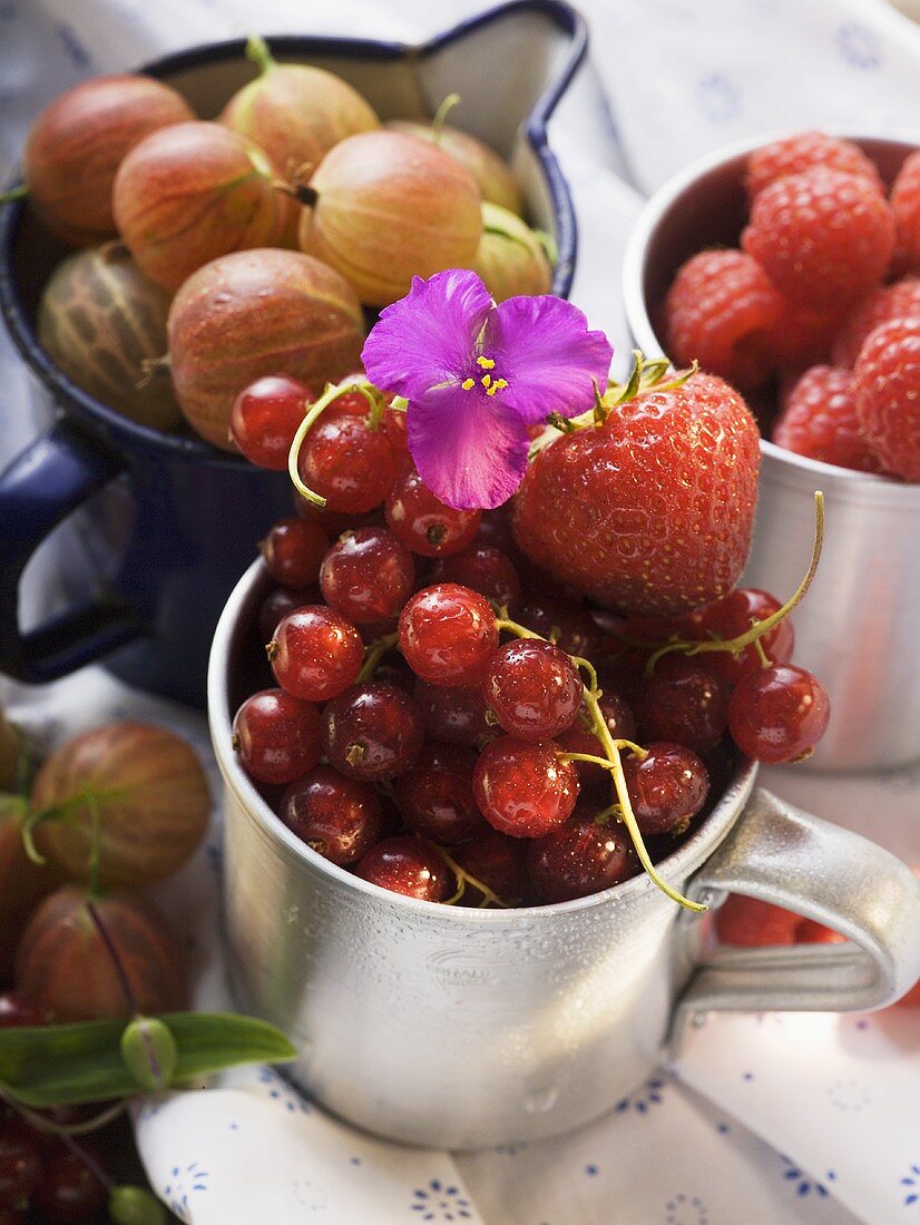 Stillleben mit verschiedenen Beeren in Tassen