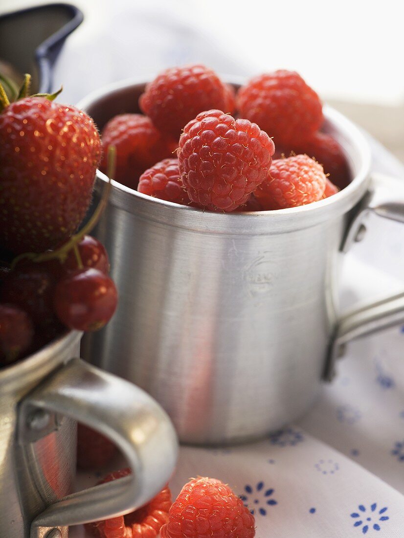 Fresh raspberries in metal cup