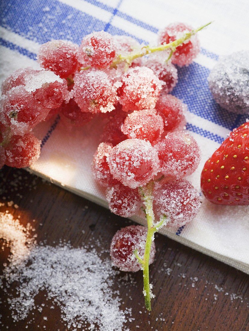 Sugared berries on tea towel (close-up)
