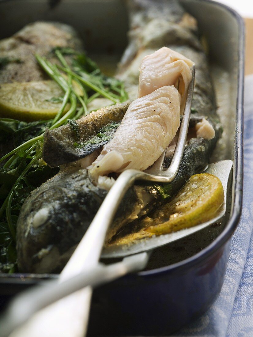 Roast trout with piece on fork (detail)