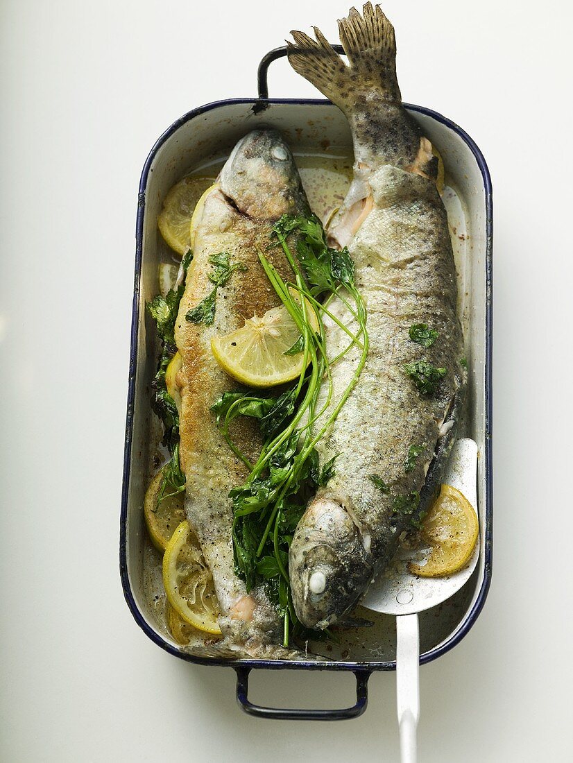 Roast trout in roasting tin