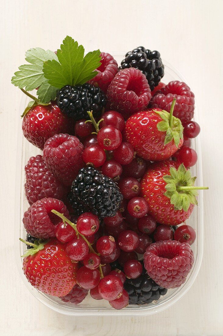 Frische Beeren in Plastikschale