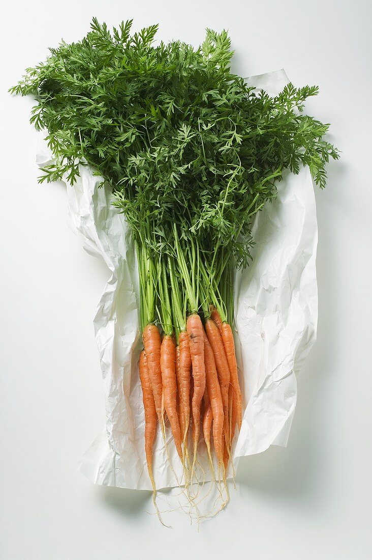 Fresh carrots on paper