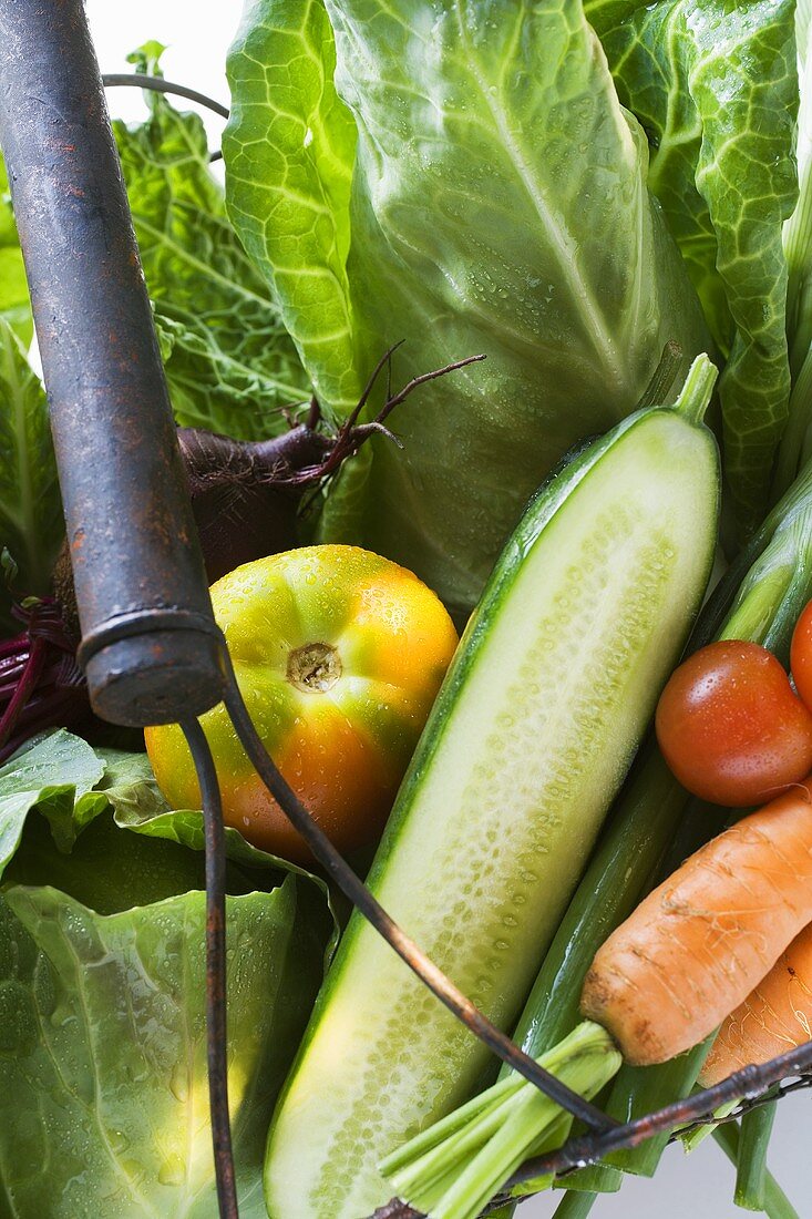 Fresh vegetables in wire basket (close-up)