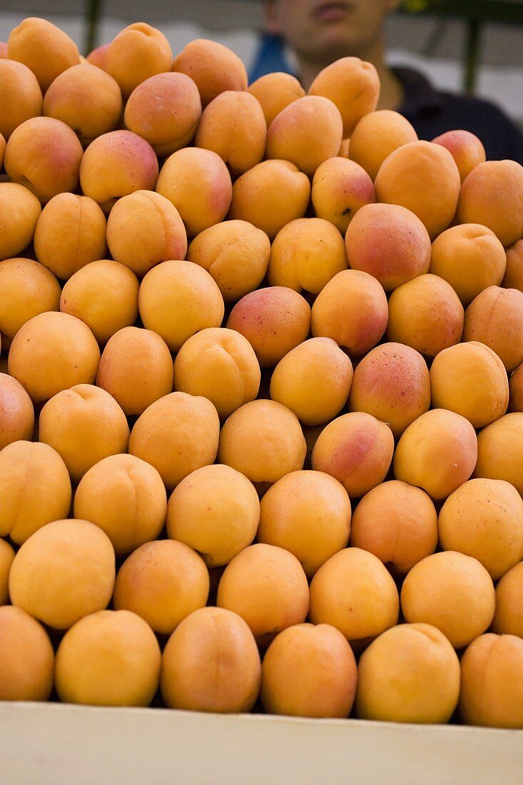 Viele Aprikosen in Steige auf dem Markt