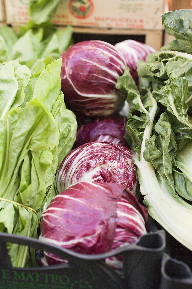 Fresh spinach and radicchio at a market