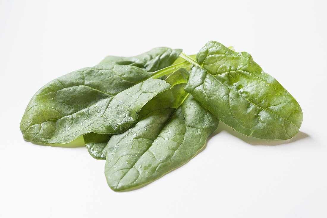 Several spinach leaves