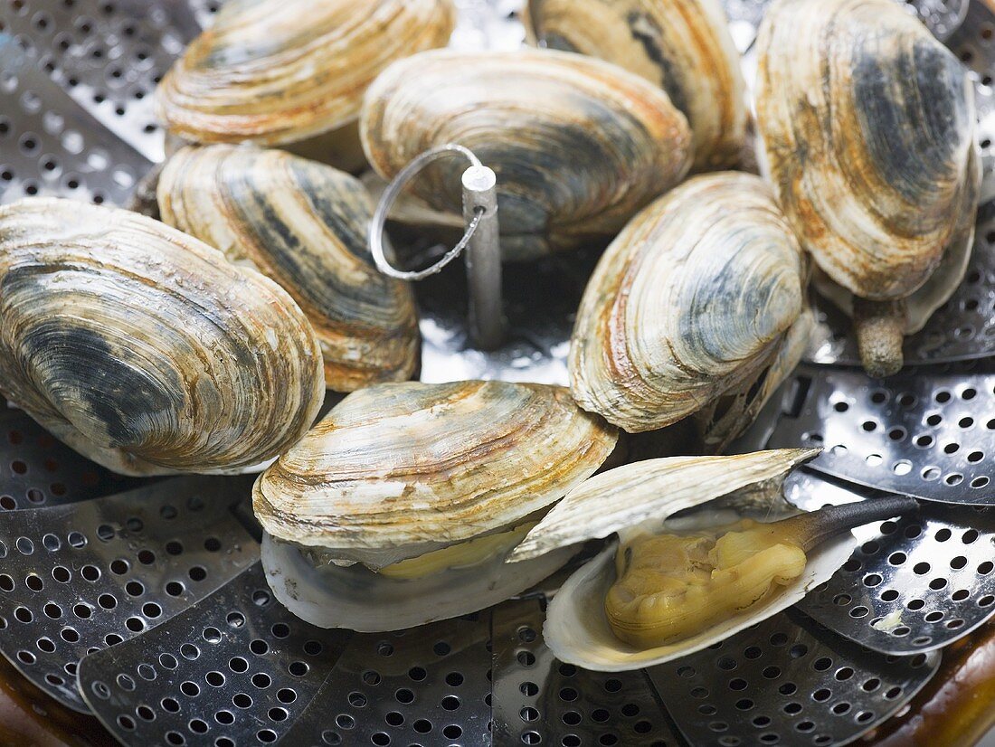 Clams in steaming tray