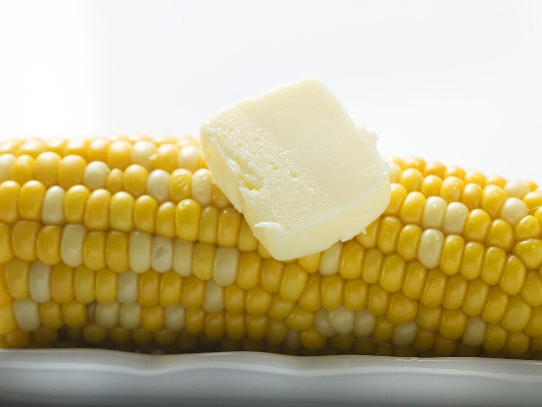 Corn cob with knob of butter (close-up)