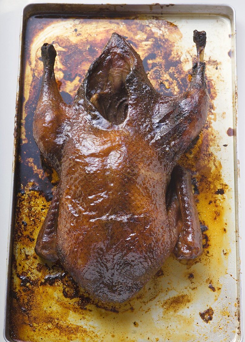 Crispy roast duck (overhead view)