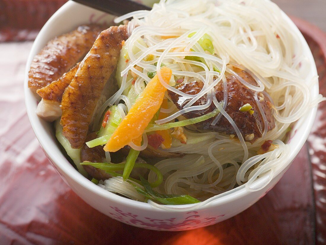 Glass noodles with roast duck breast and vegetables (Asia)