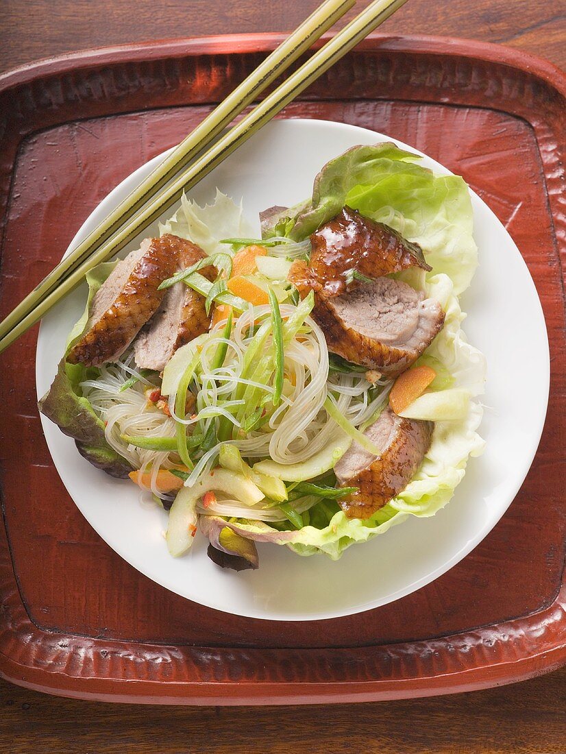 Salat mit gebratener Entenbrust, Gemüse, Glasnudeln (Asien)