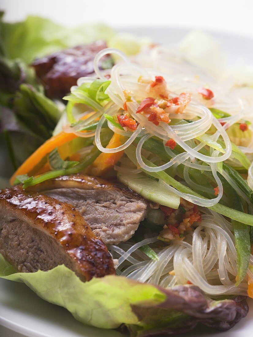 Salat mit gebratener Entenbrust, Gemüse, Glasnudeln (Asien)