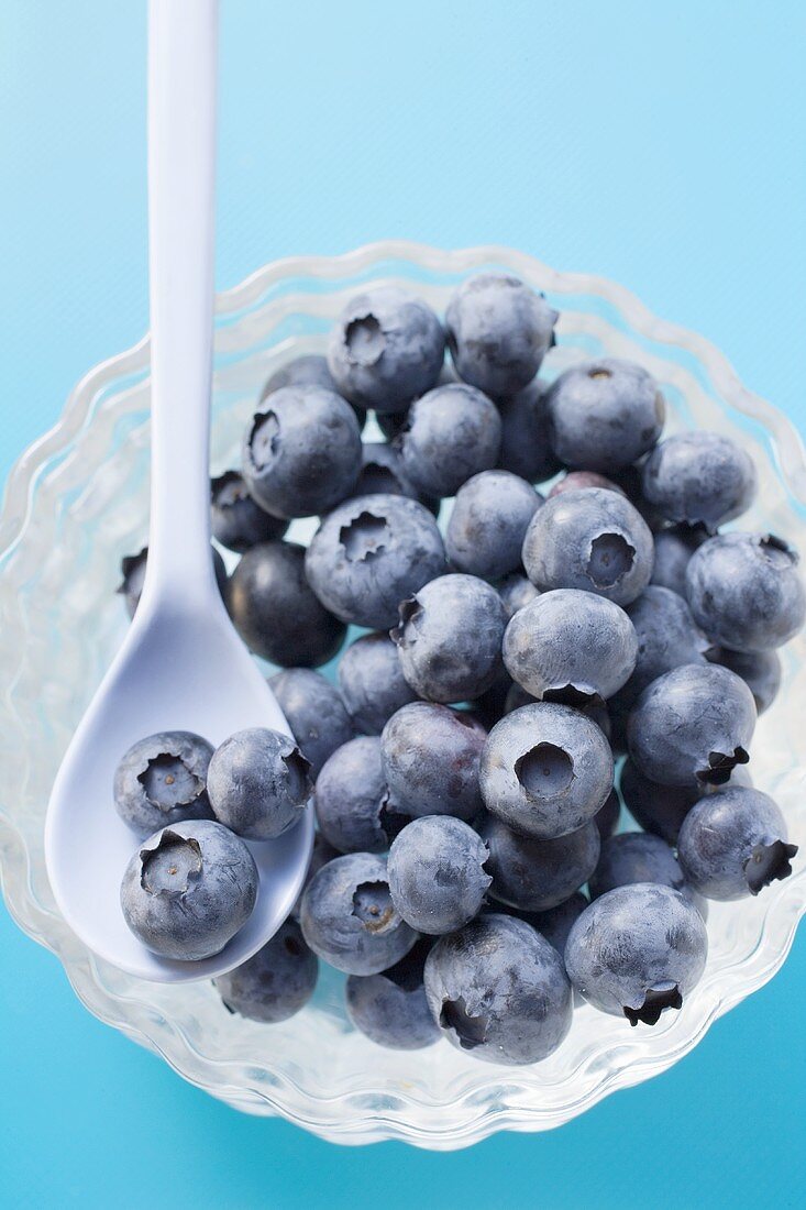 Frische Heidelbeeren in Glasschale mit Löffel (Draufsicht)