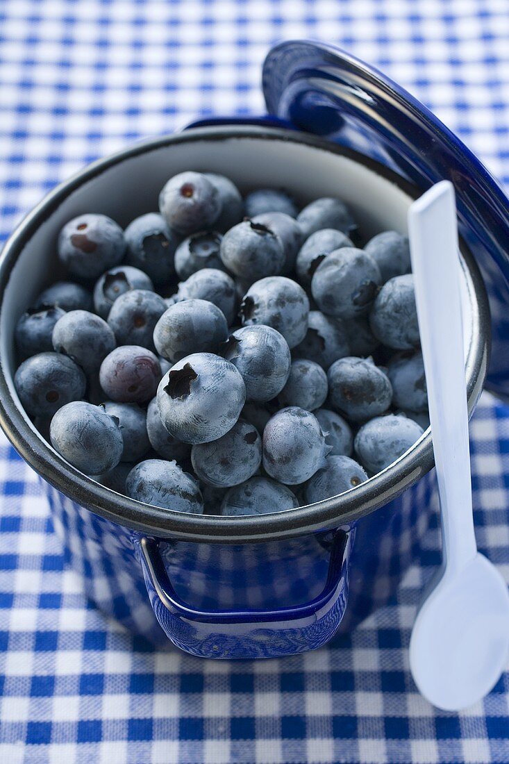 Frische Heidelbeeren im blauen Kochtopf