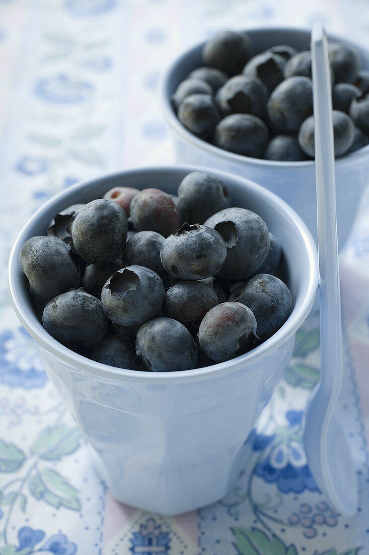 Fresh blueberries in two beakers