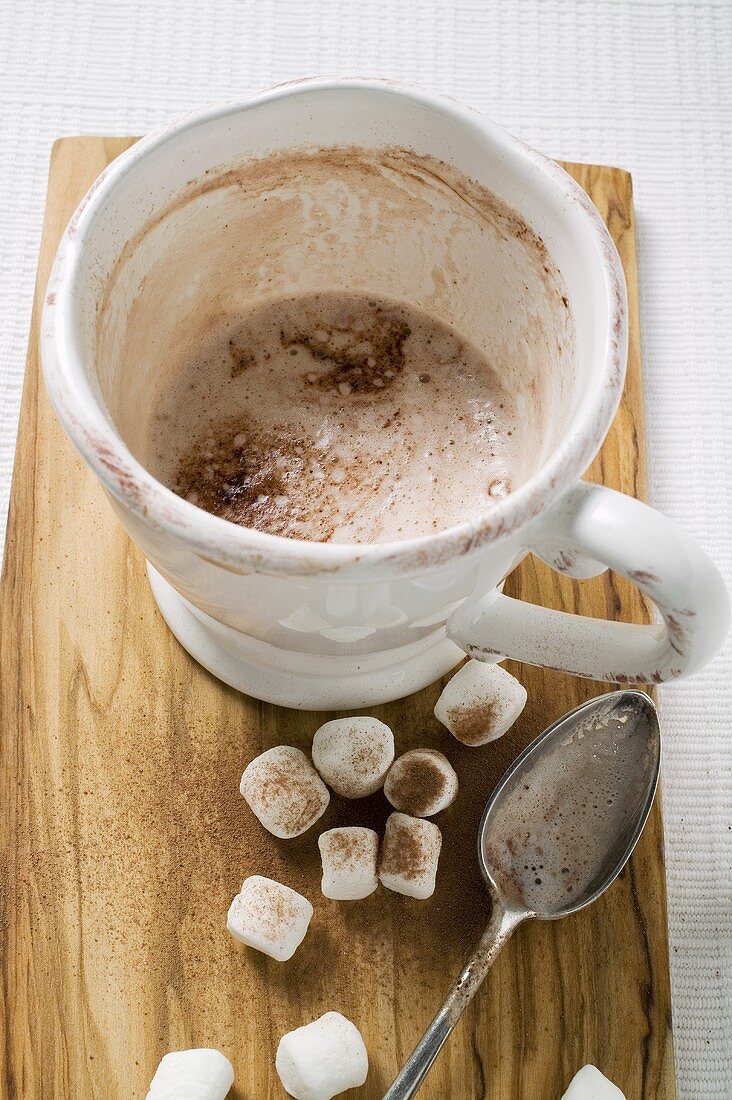 Cup of cocoa (almost empty) with marshmallows