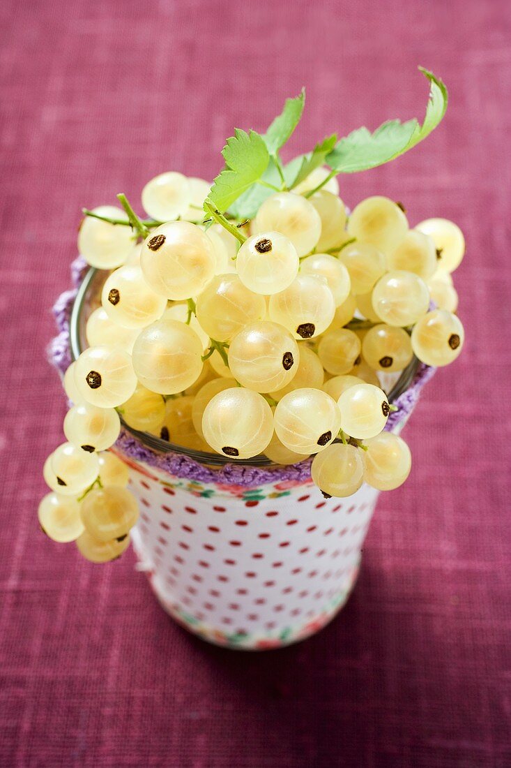 White currants in beaker