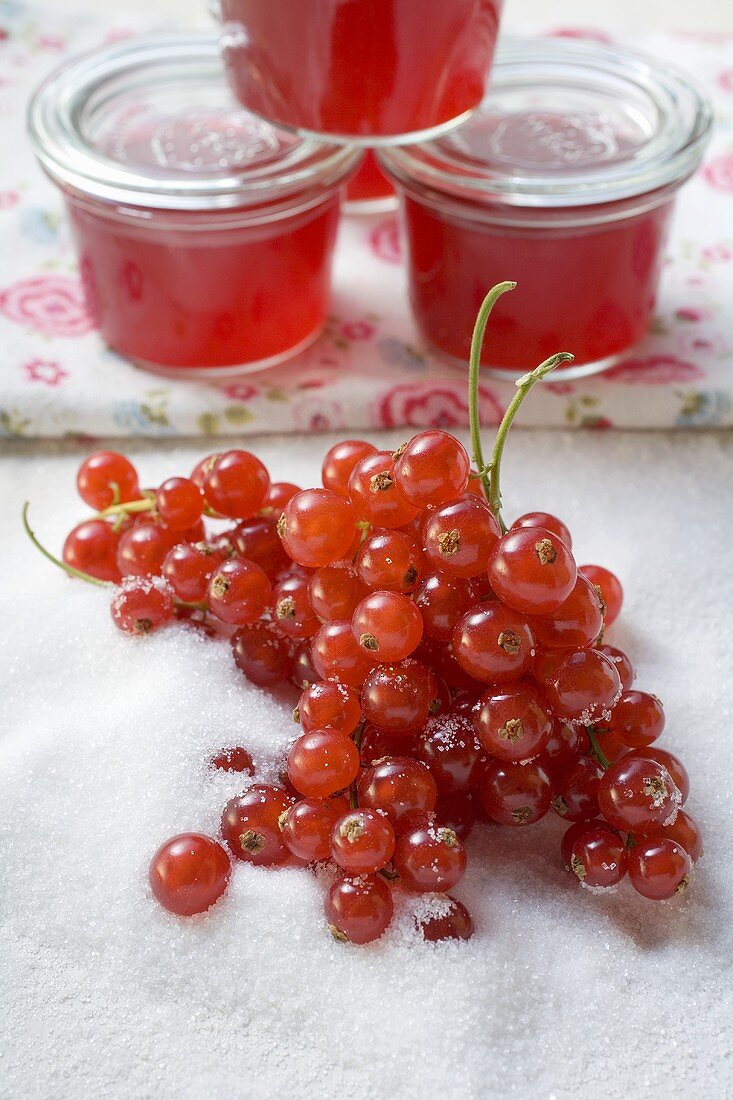 Redcurrants, sugar and redcurrant jelly in jars