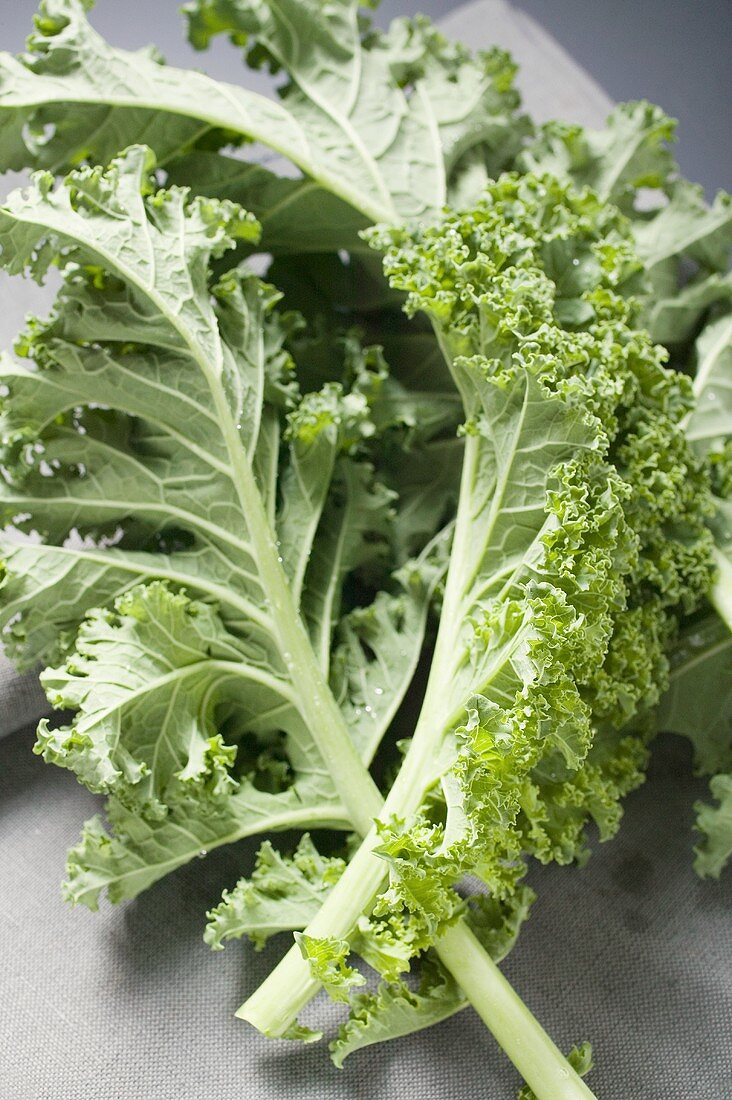 Two kale leaves on fabric napkin