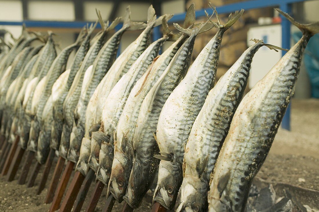 Steckerlfisch (skewered fish) at Oktoberfest